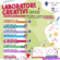Laboratori creativi 2023!